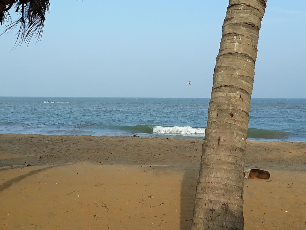 Anicia Beach House Negombo Exterior foto